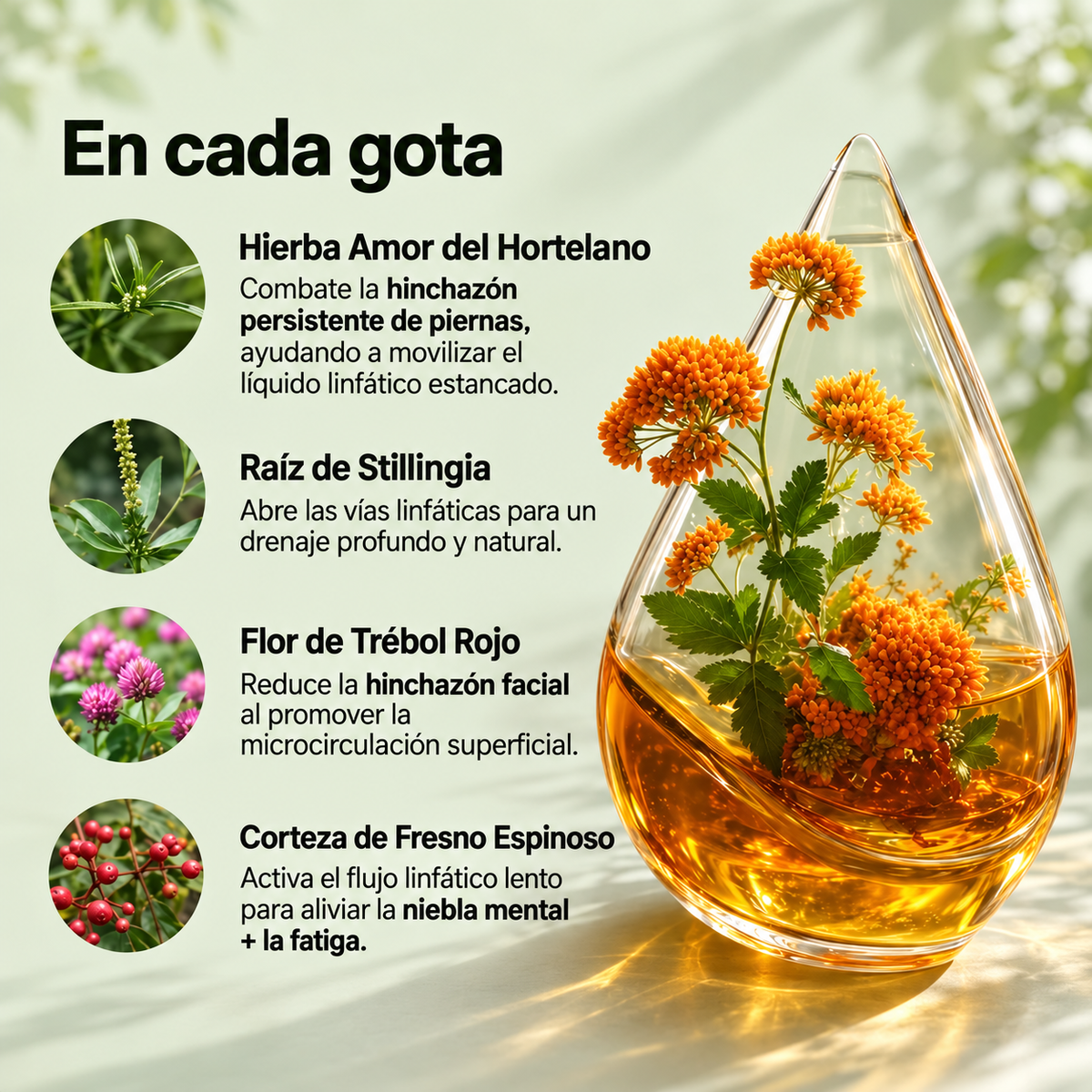 Drenaje Linfático - Mayaverra 60ml